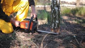 Best Commercial Tree Services  in Bellefonte, PA